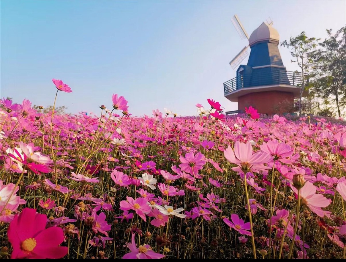 热带植物展示区